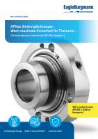 APItex API Pumpendichtung