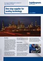 Solution: One-stop supplier for sealing technology